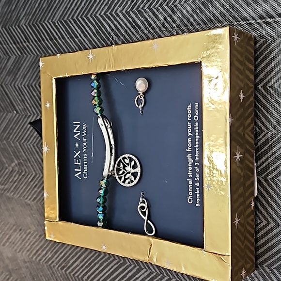 New in packaging Alex and Ani Charms your Way Channel your Strength Set - Picture 1 of 3